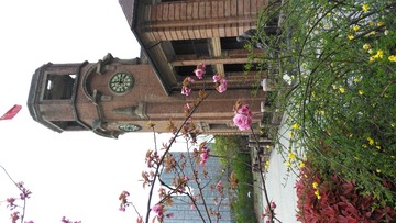 IMG_20160329_121624