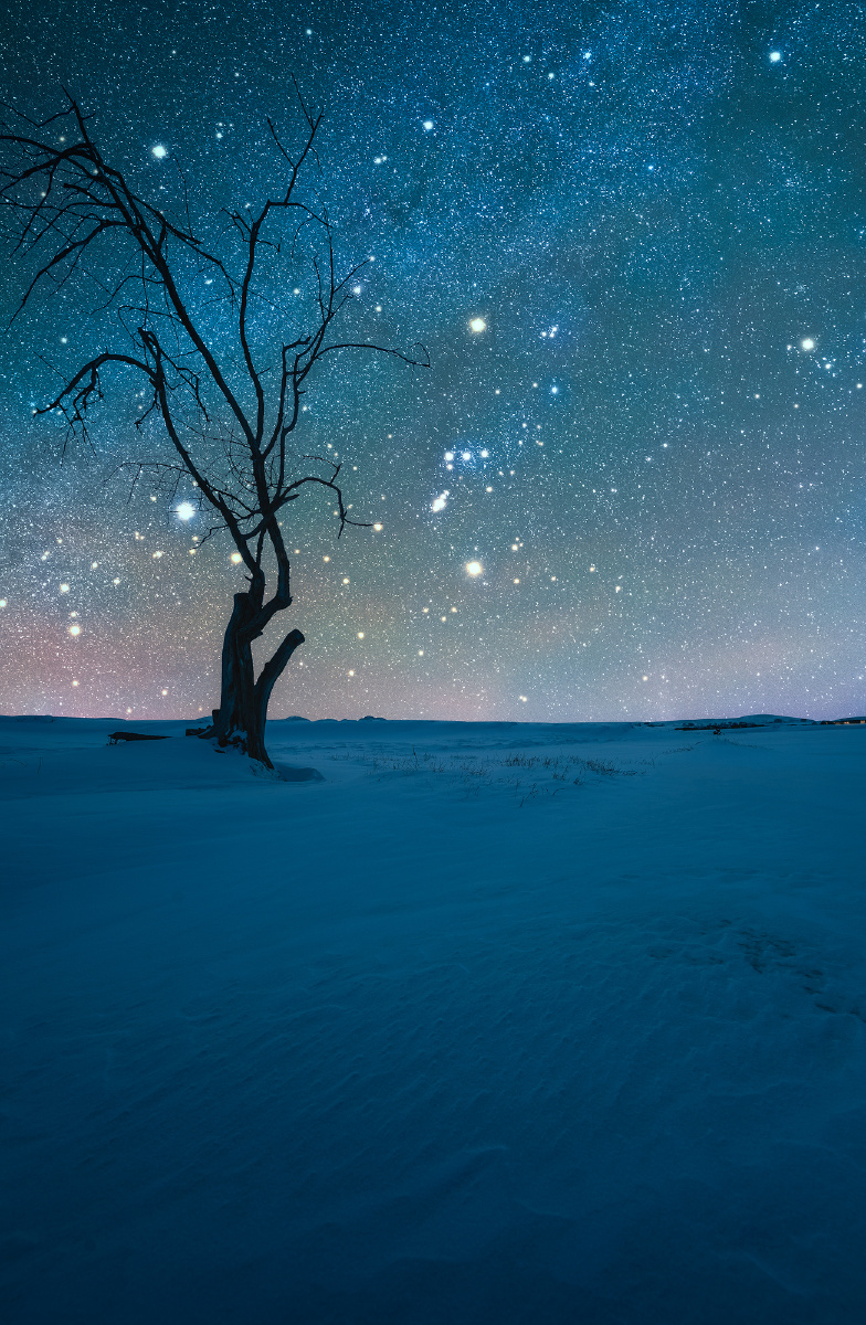 冬季星空