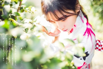 【你若微笑，日光倾城。】预告