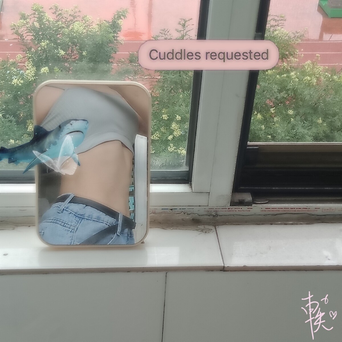 周三梦见撞墙预测学业有进展