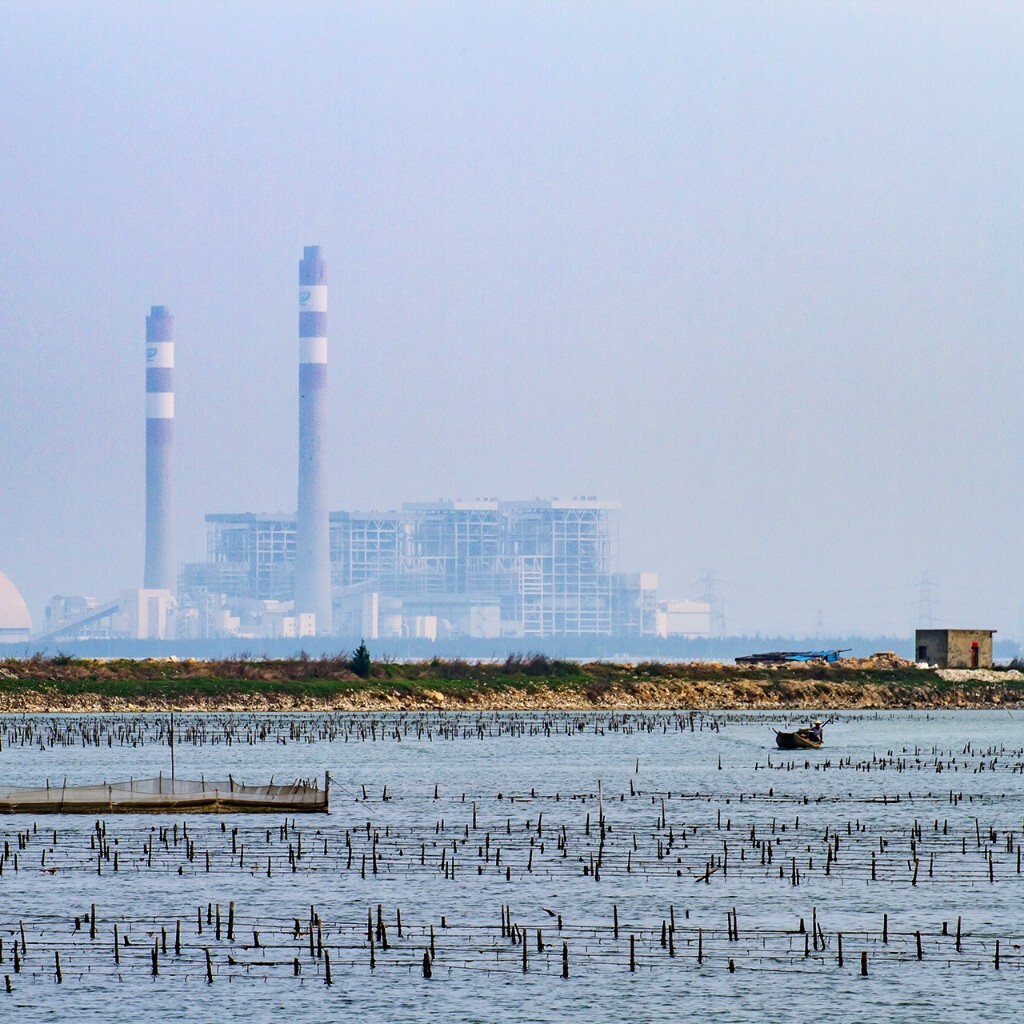 轻霾湿地见渔舟