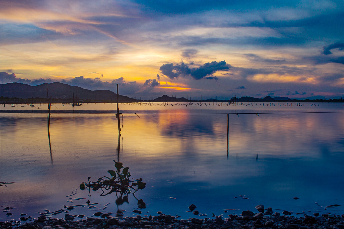 堆栈1 - 林绿洲 - 图虫摄影网
