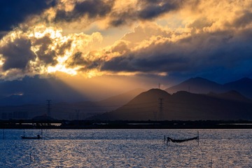 夏日倾情