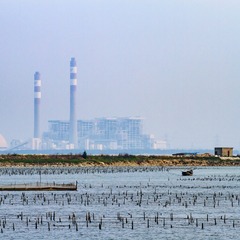 轻霾湿地见渔舟