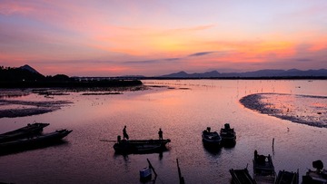 多情港湾