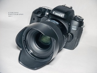 DSCF4329-1