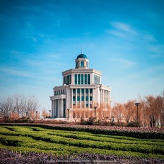 IMG_6614-8