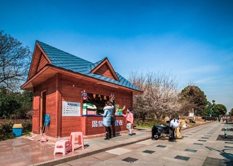 IMG_6650-17