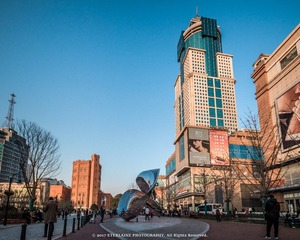 IMG_6887-12