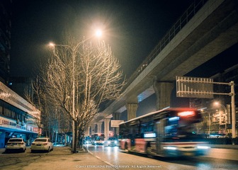 IMG_7203-16