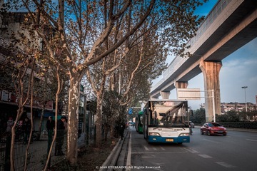IMG_3135-37