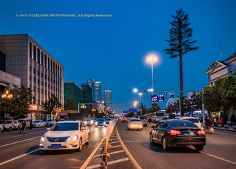 IMG_8547-6