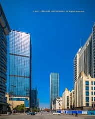 IMG_8811-1