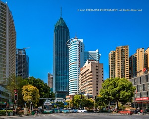 IMG_8826-1