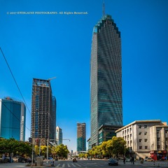 IMG_8825-1