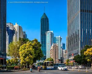 IMG_8832-1