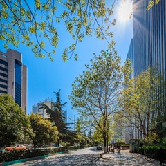 IMG_8809-1