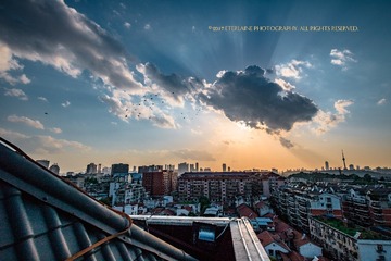 IMG_9781-1