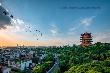 IMG_9785-5