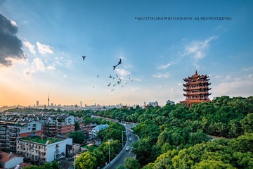 IMG_9786-6
