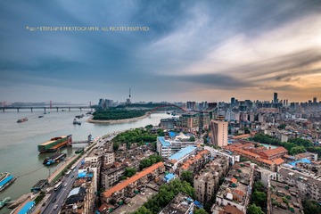 IMG_9884-6