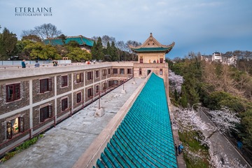 IMG_3920-1