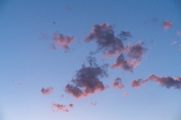 TH_09190