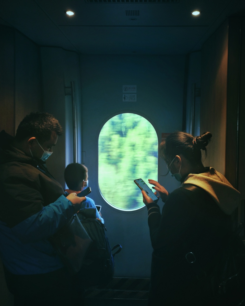 戴罩的旅程 2020年1月25日新型冠状病毒疫情期间,拍于g8614动车上.