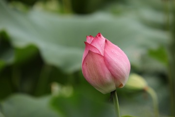 1471070