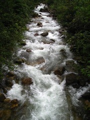 2855368