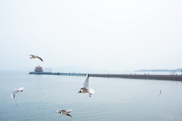 _DSC7737h