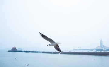 _DSC7747h