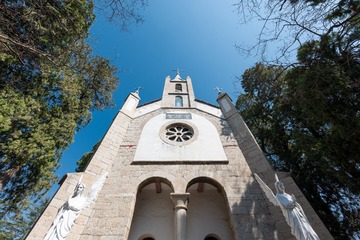 DSC_2666h