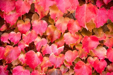 _DSC0349h
