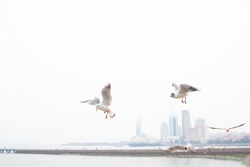 _DSC7812h