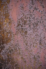 _DSC1472t