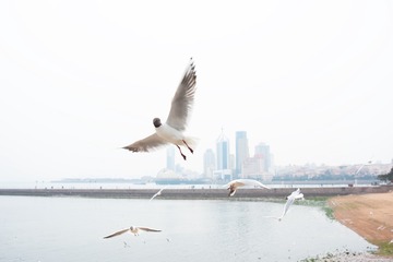 _DSC7824h