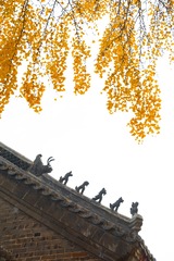 _DSC1071h