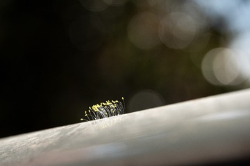 _DSC7978h