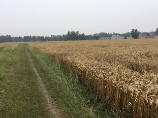 964980