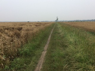964979