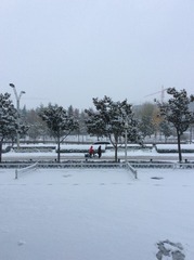 965010