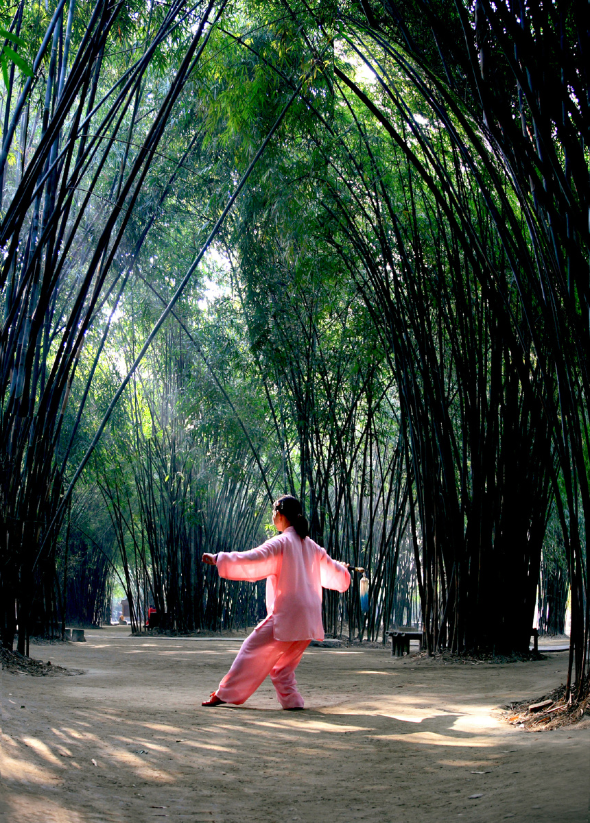 清晨的公园里锻炼的人