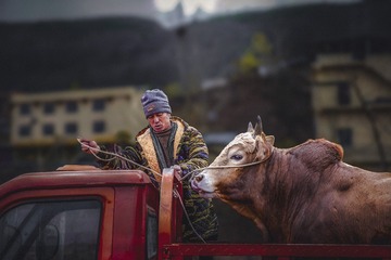 IMG_9616
