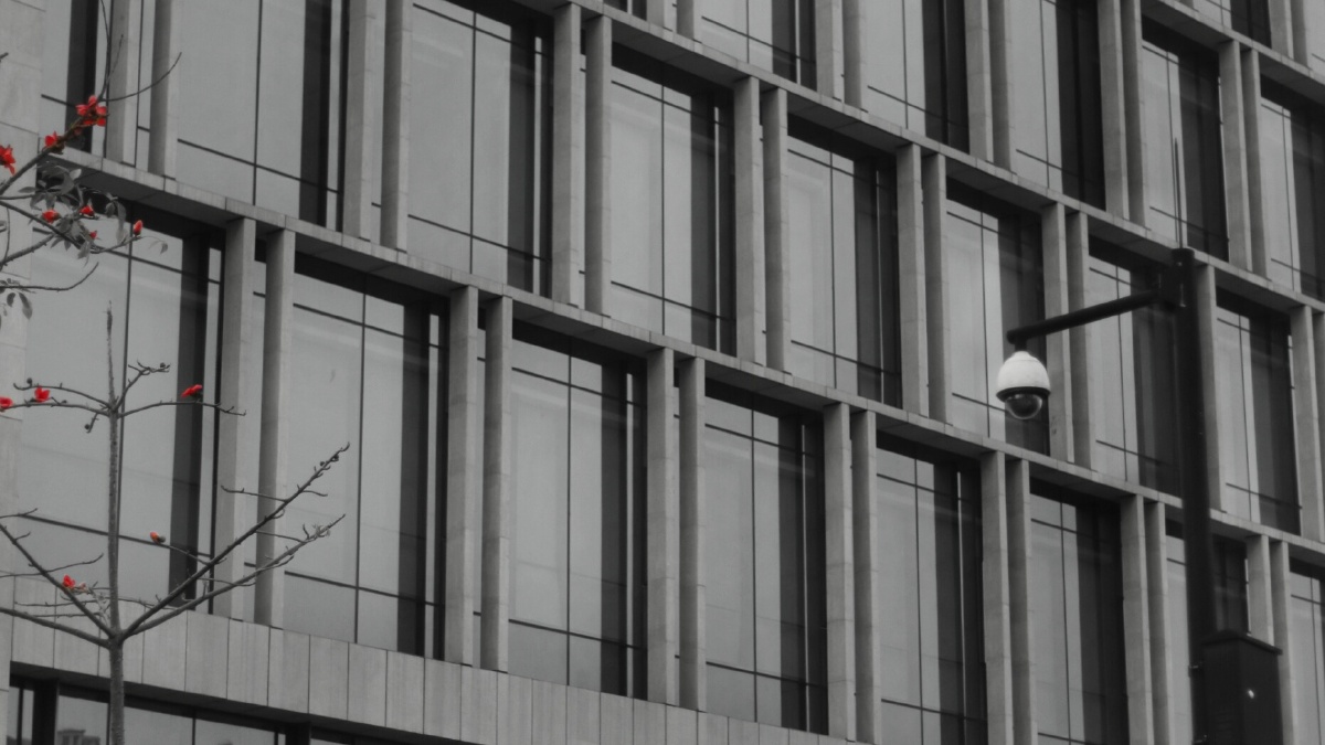 你好,我在奔跑 - 街拍, 黑白, 风光 - S林燕秋 - 图