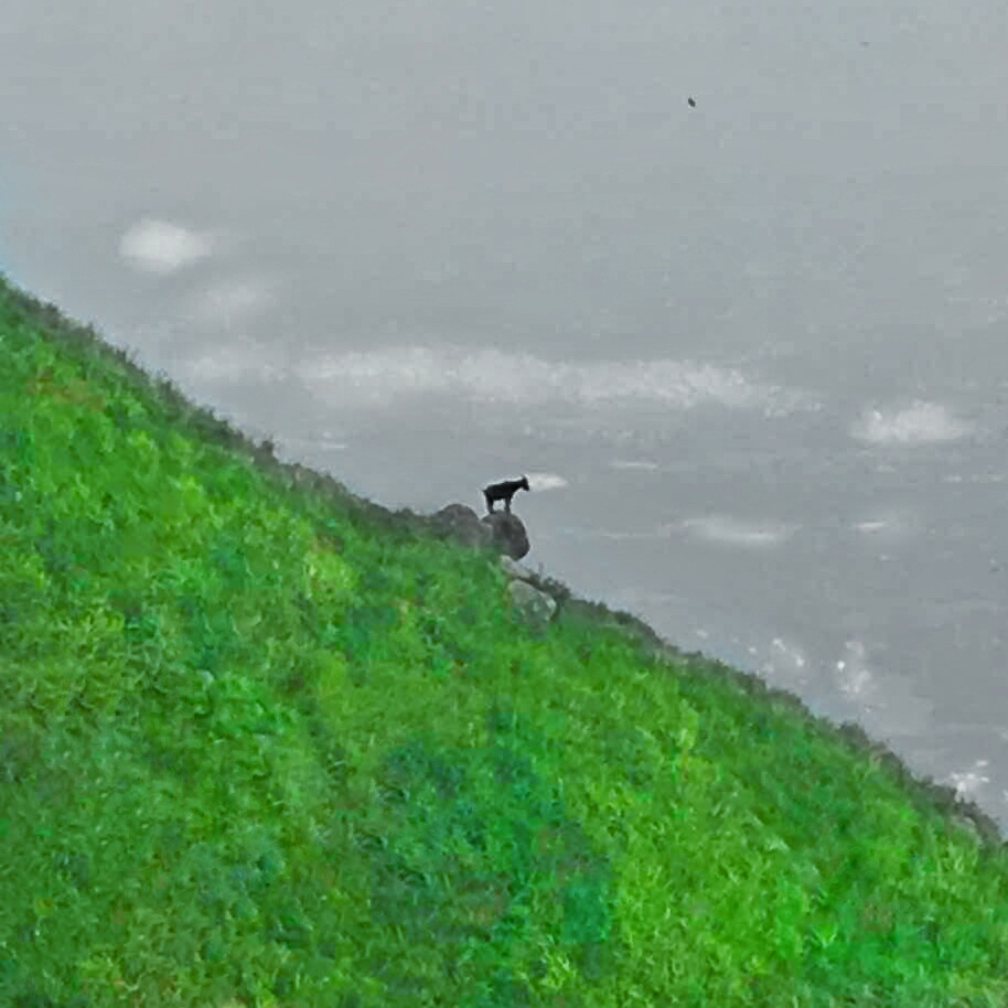 你好,我在奔跑 - 街拍, 黑白, 风光 - S林燕秋 - 图