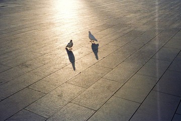 kodakgc400025-01