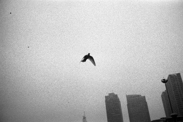 400tx038