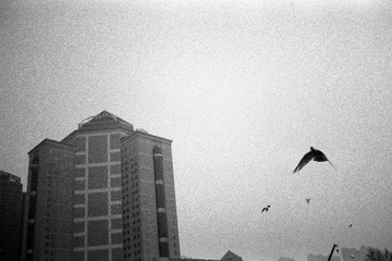 400tx039