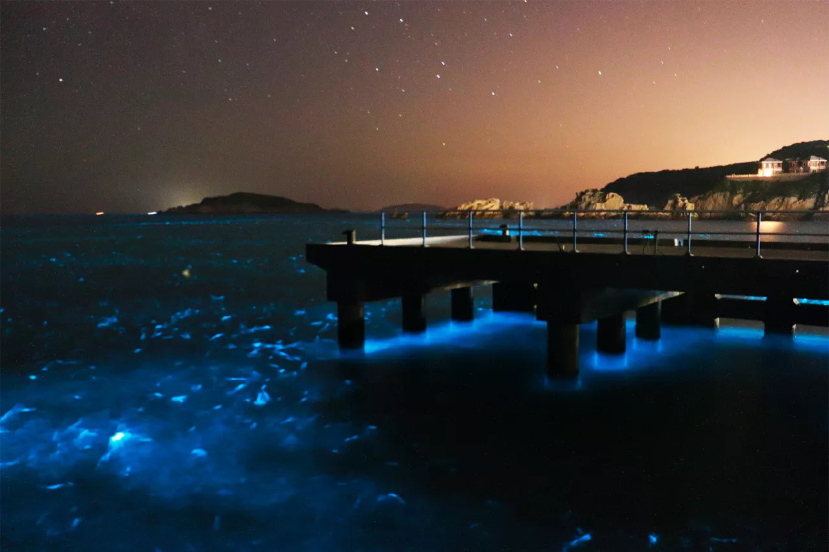 花鸟岛荧光海银河系美的邂逅